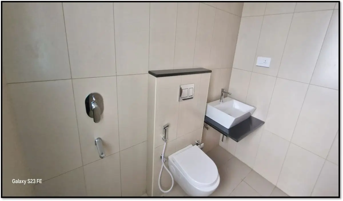 Project Progress Photographs Toilet Fixtures