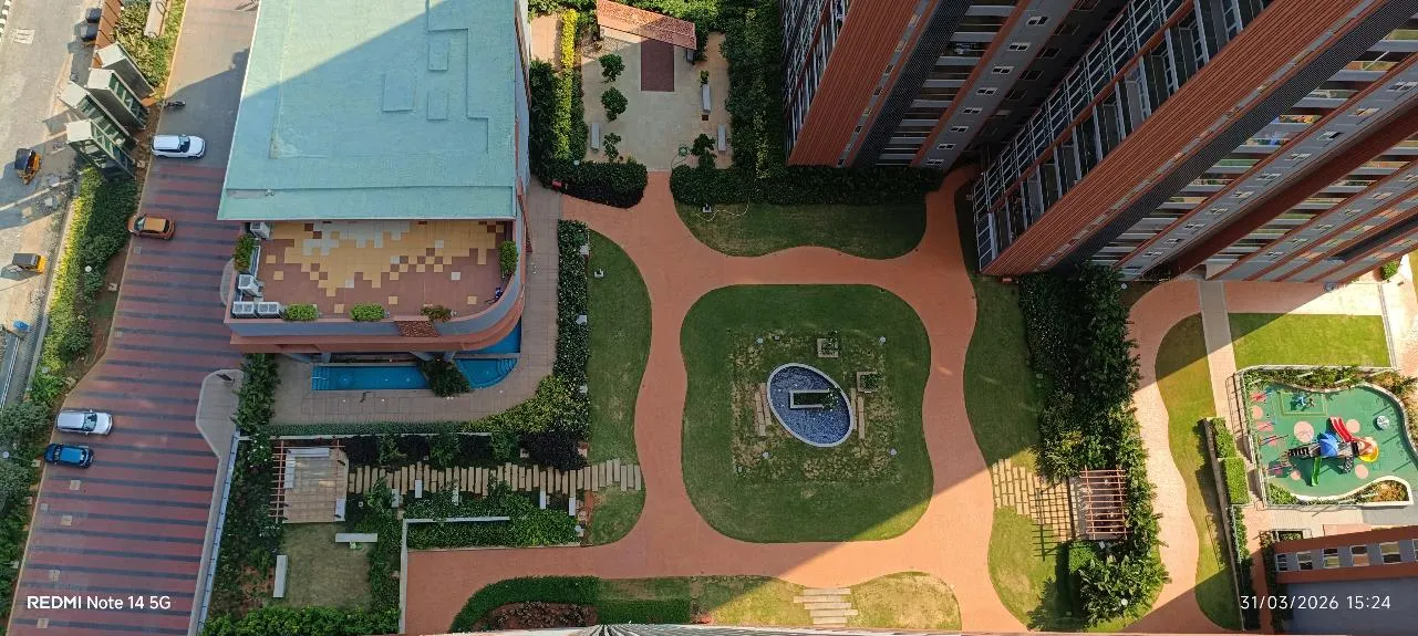 Progress Photographs