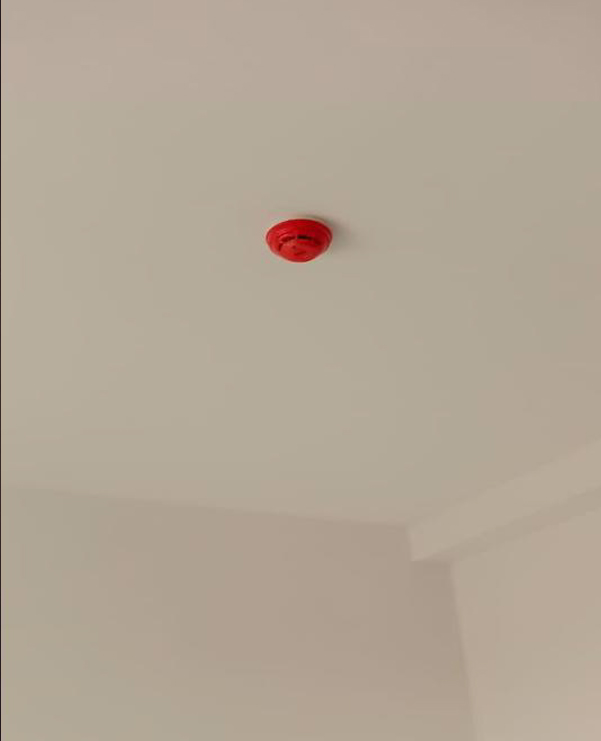 Finishing works in progress