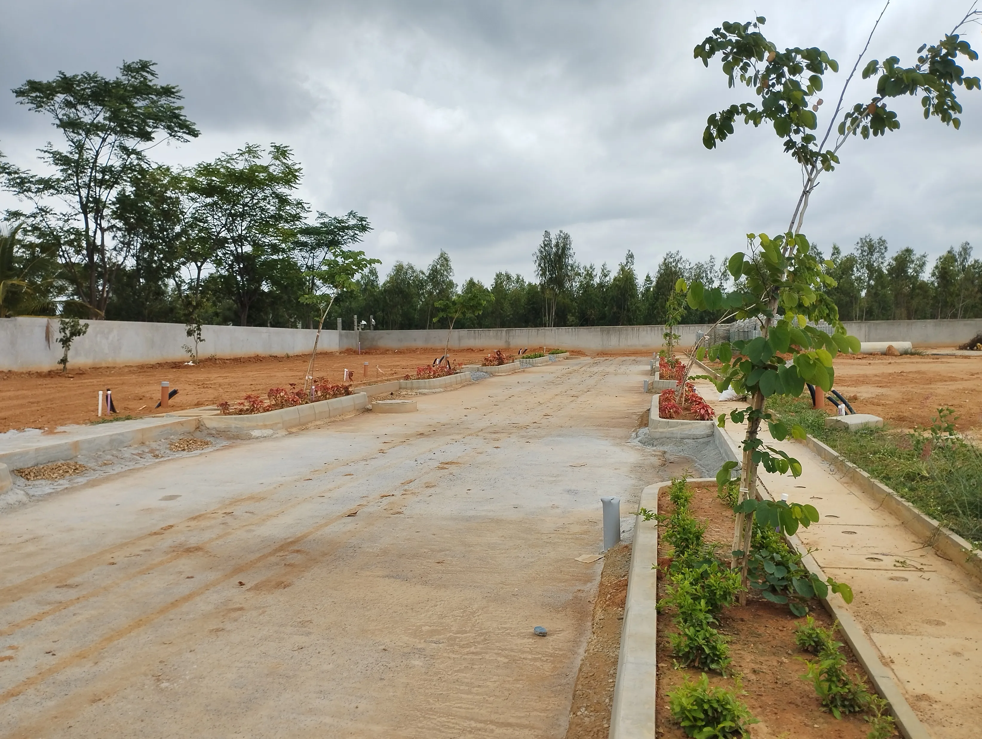Tree Planting Works