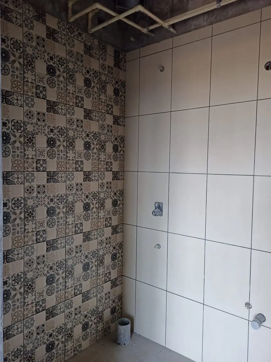 Toilet dado and Plumbing work in progress