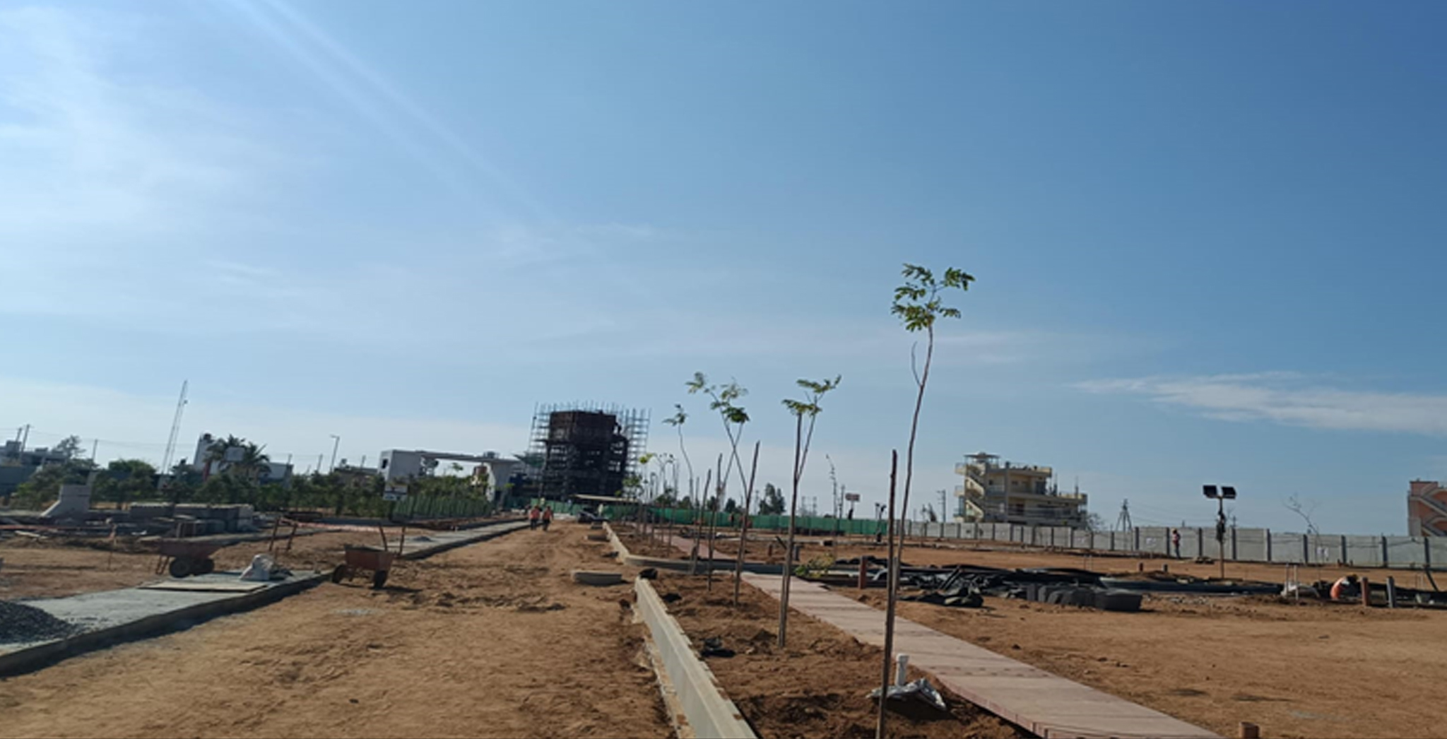 12m Main Road Tree Planting - Feb 2024