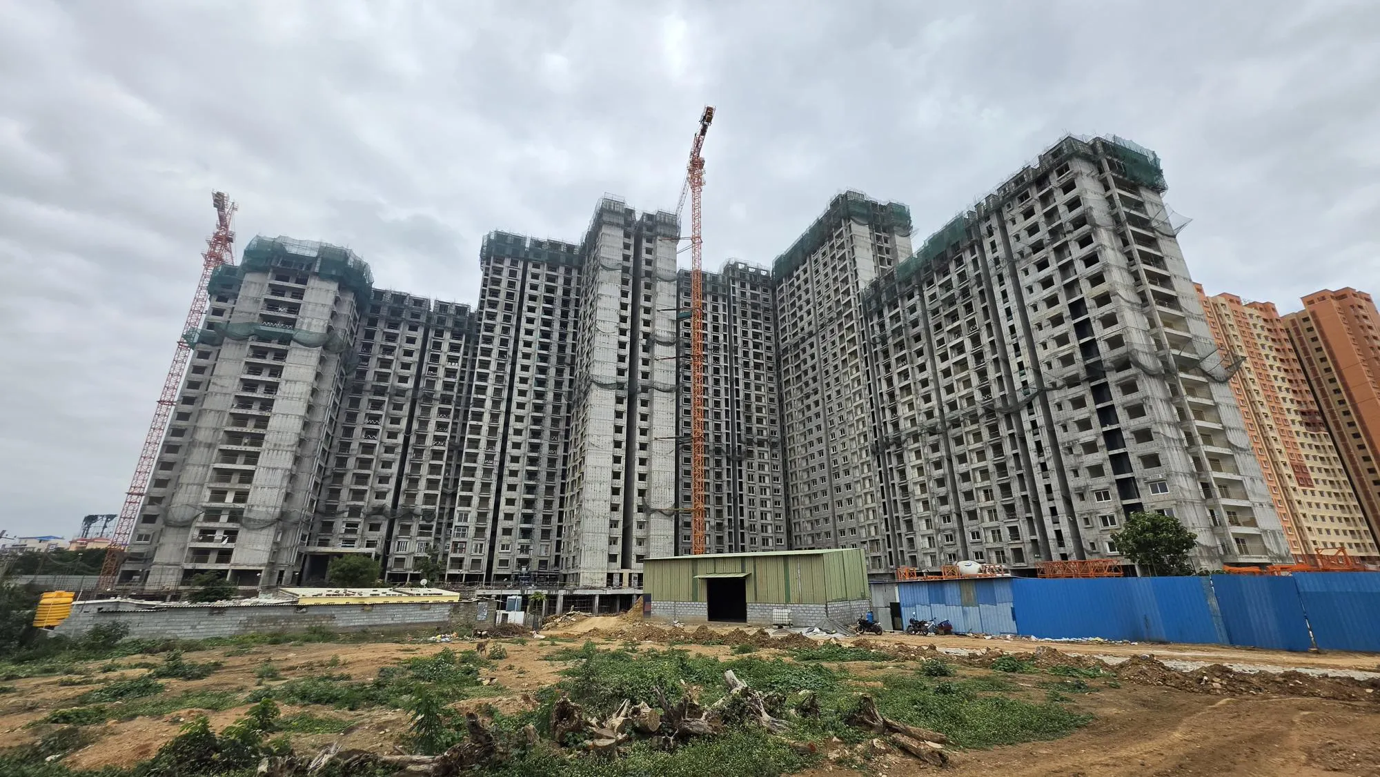 Tower Brillio