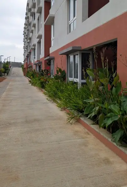 4 Acre – East Driveway, Planting & Electrical Pole