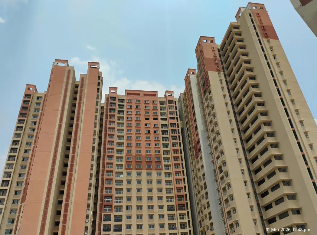 External Painting in Progress