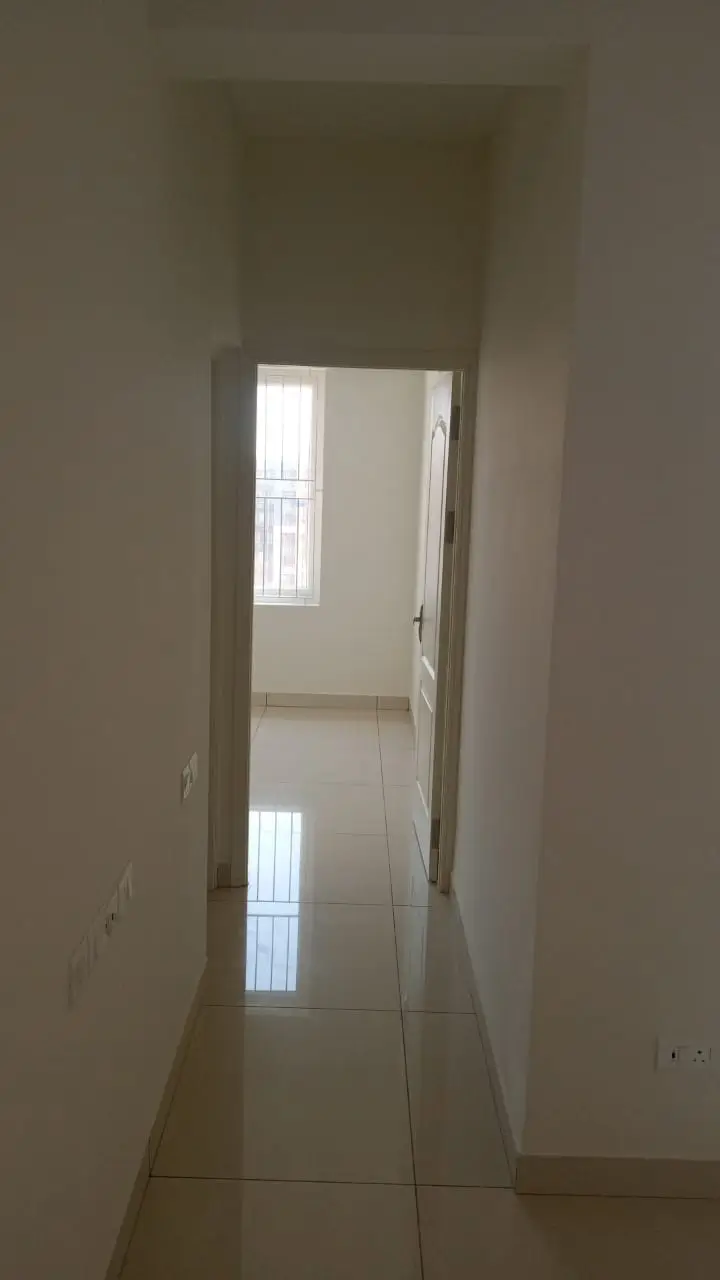 Progress Photographs – Inside flat