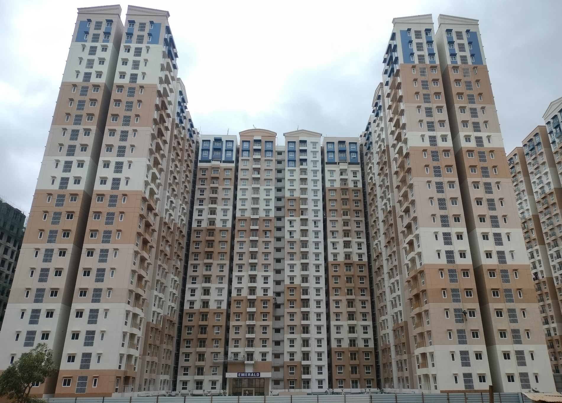 Overall View
