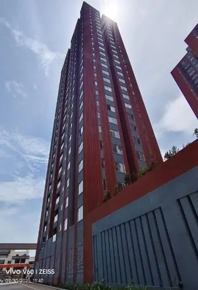 Project Progress Photos