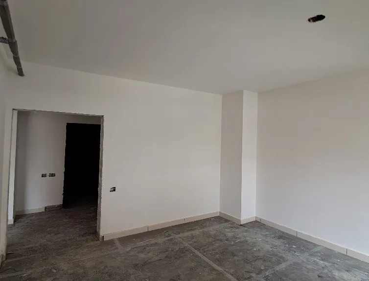 Internal flats Painting Work in progress