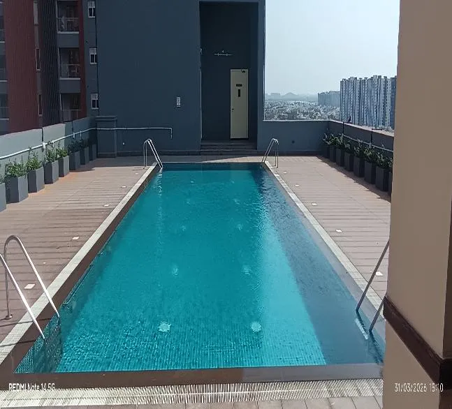 Progress Photographs