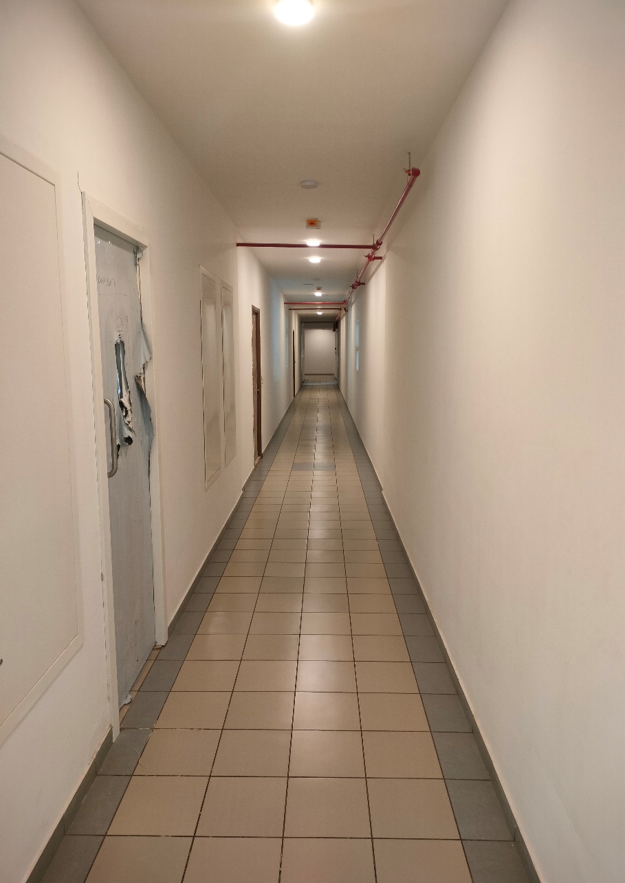 Ground floor corridor Painting work in progress