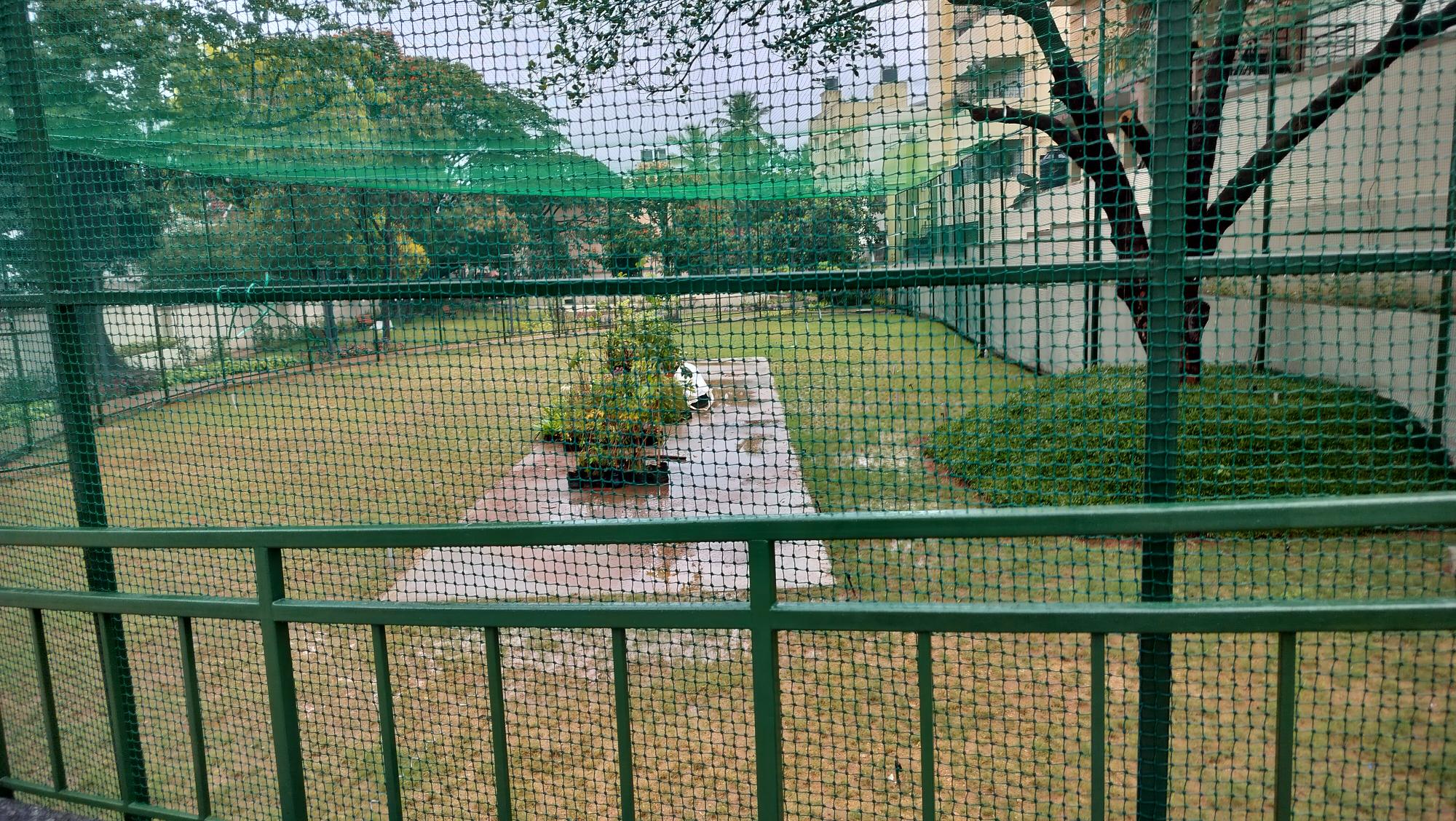 Cricket Ground