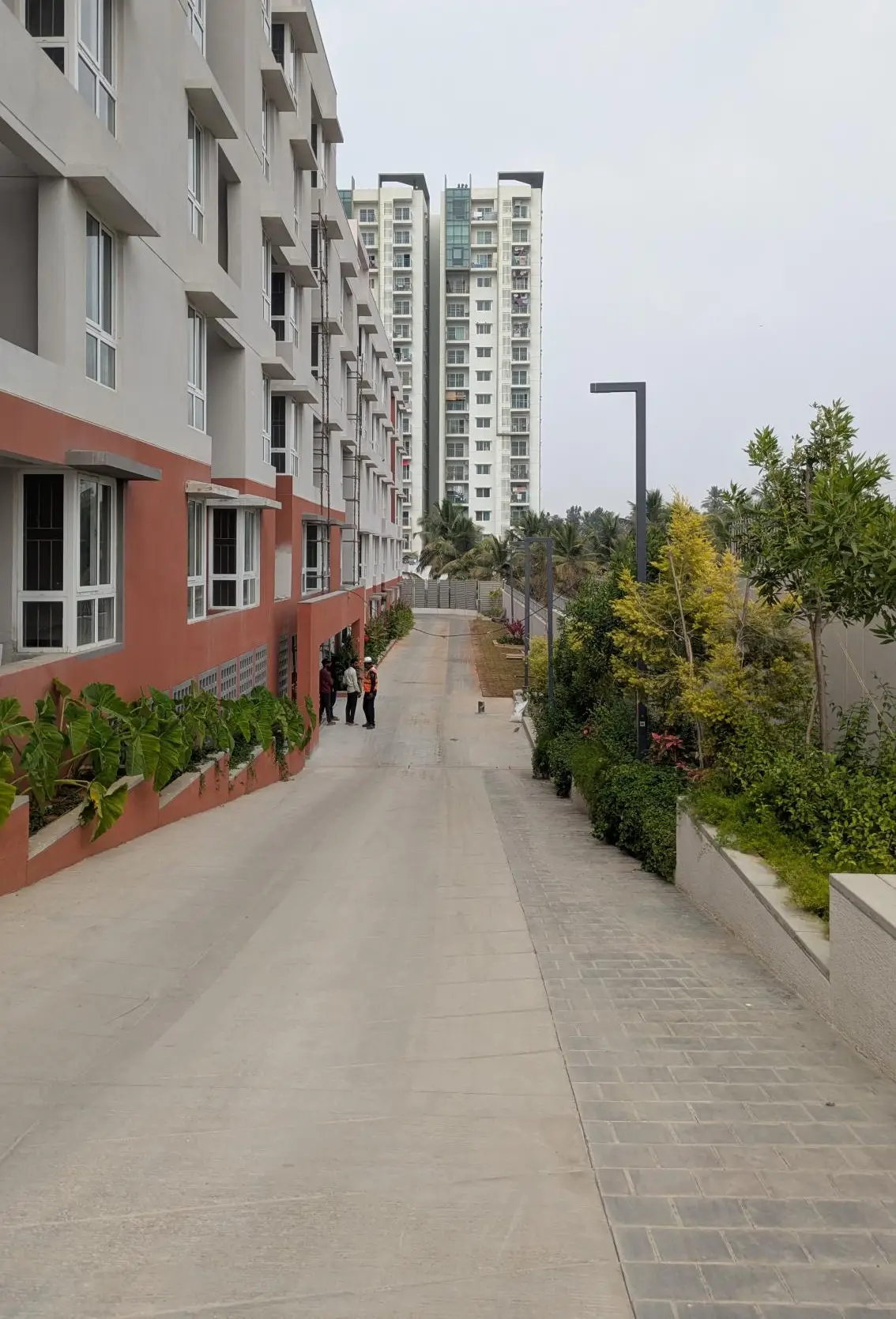 4 Acre – East Driveway, Planting & Electrical Pole