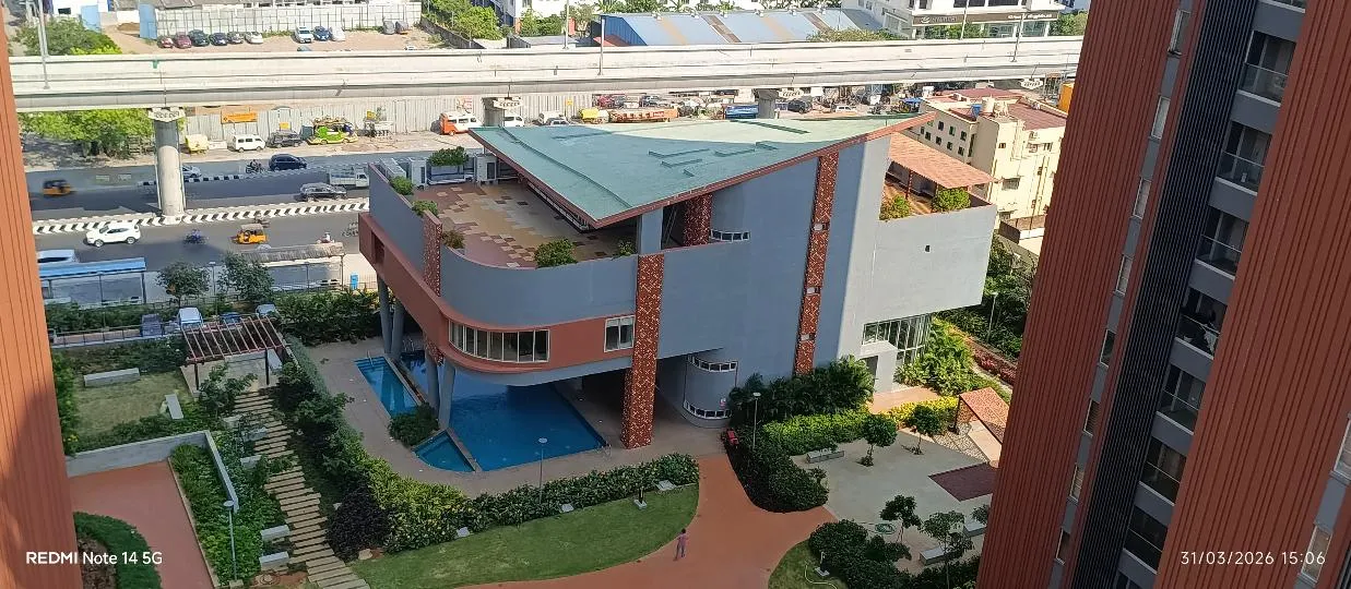 Progress Photographs - Nebula External