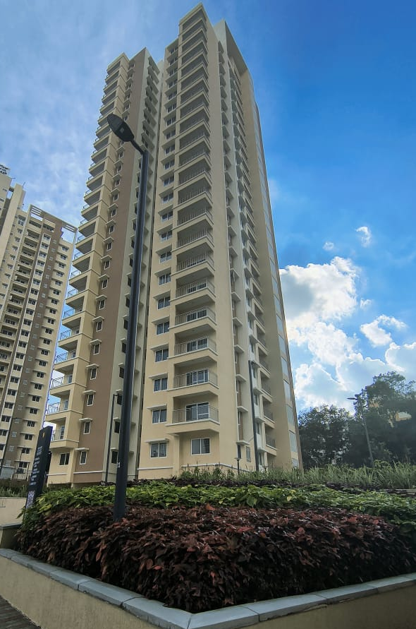 Project Progress Photos