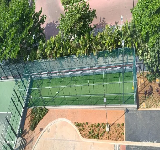 Progress Photographs - External Development