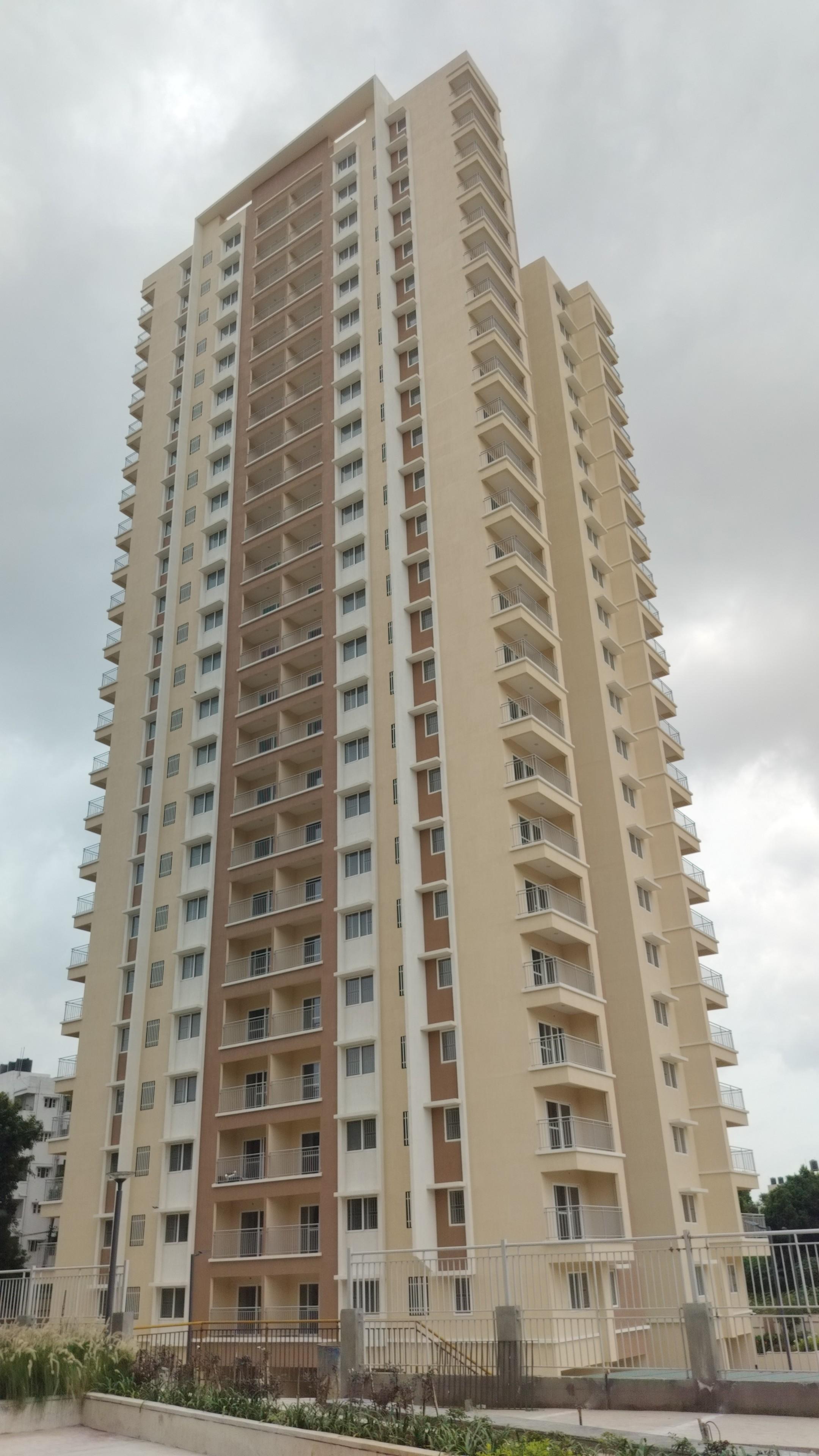 Project Progress Photos