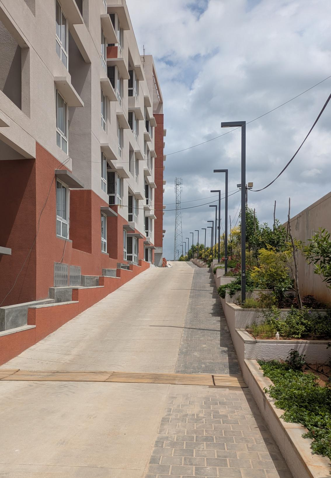 4 Acre – South Driveway, Planting & Electrical Pole