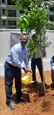 Watering a sapling on World Environment Day