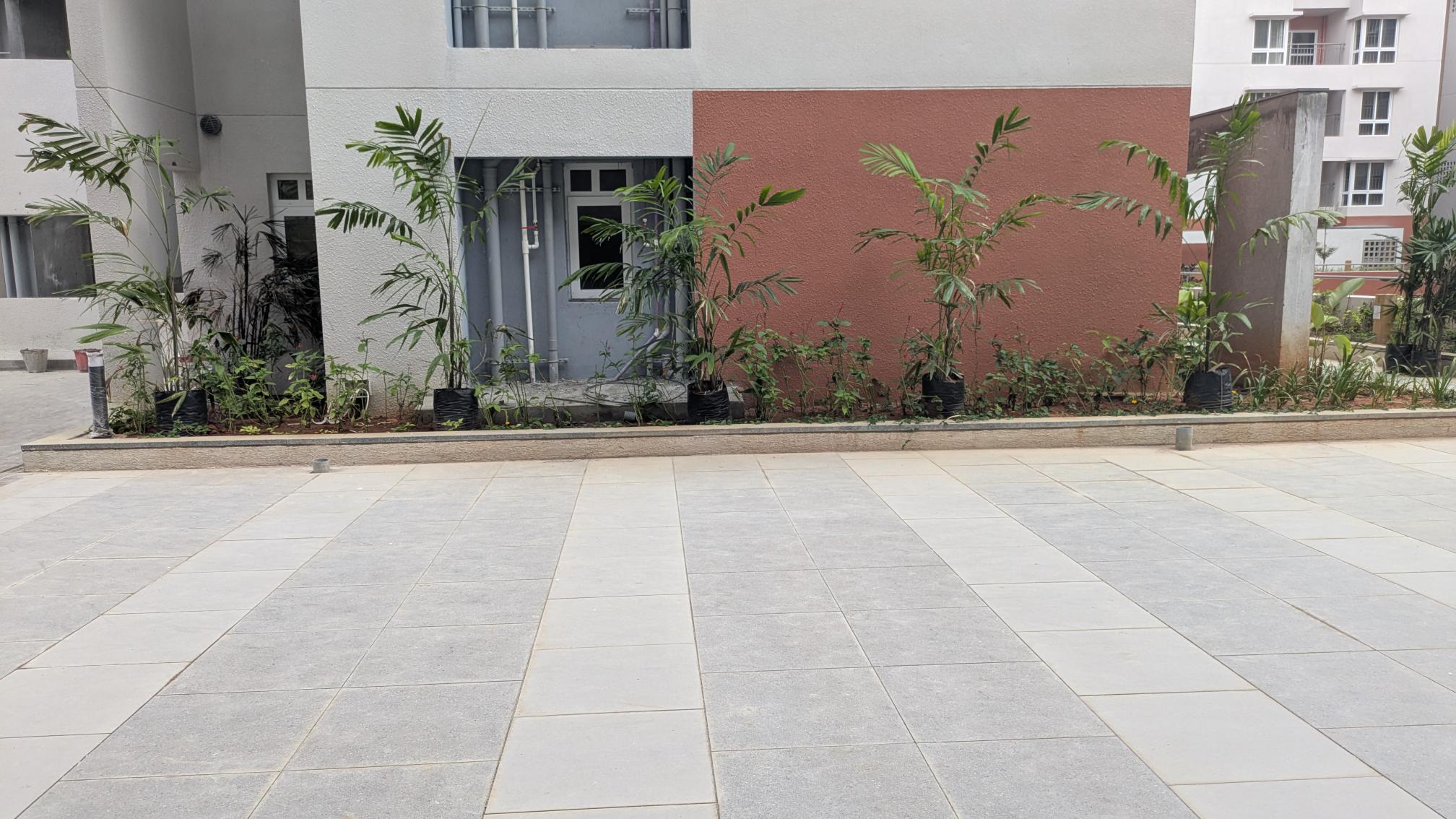4 Acre - Planting in Progress