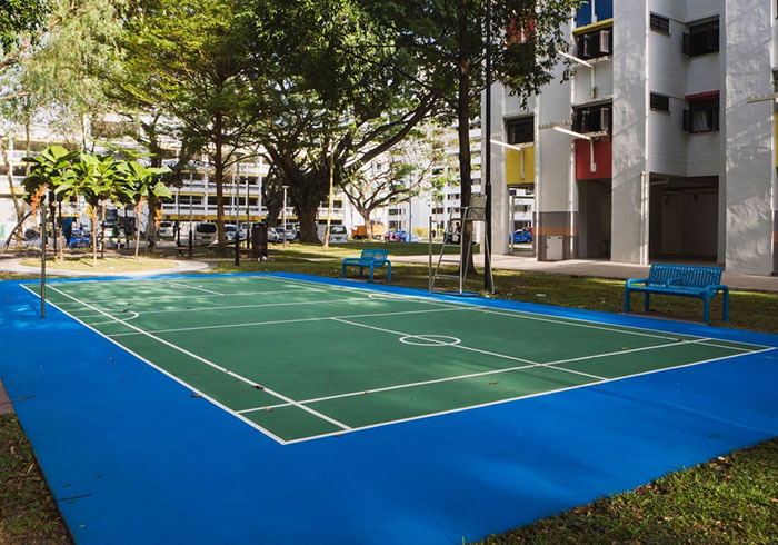 Multipurpose Play Court Misty