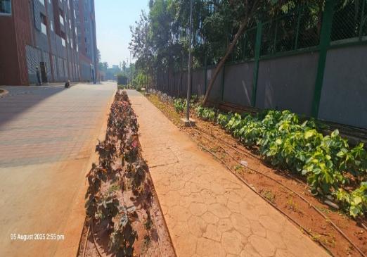 External Road