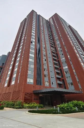 Project Progress Photos - Astra