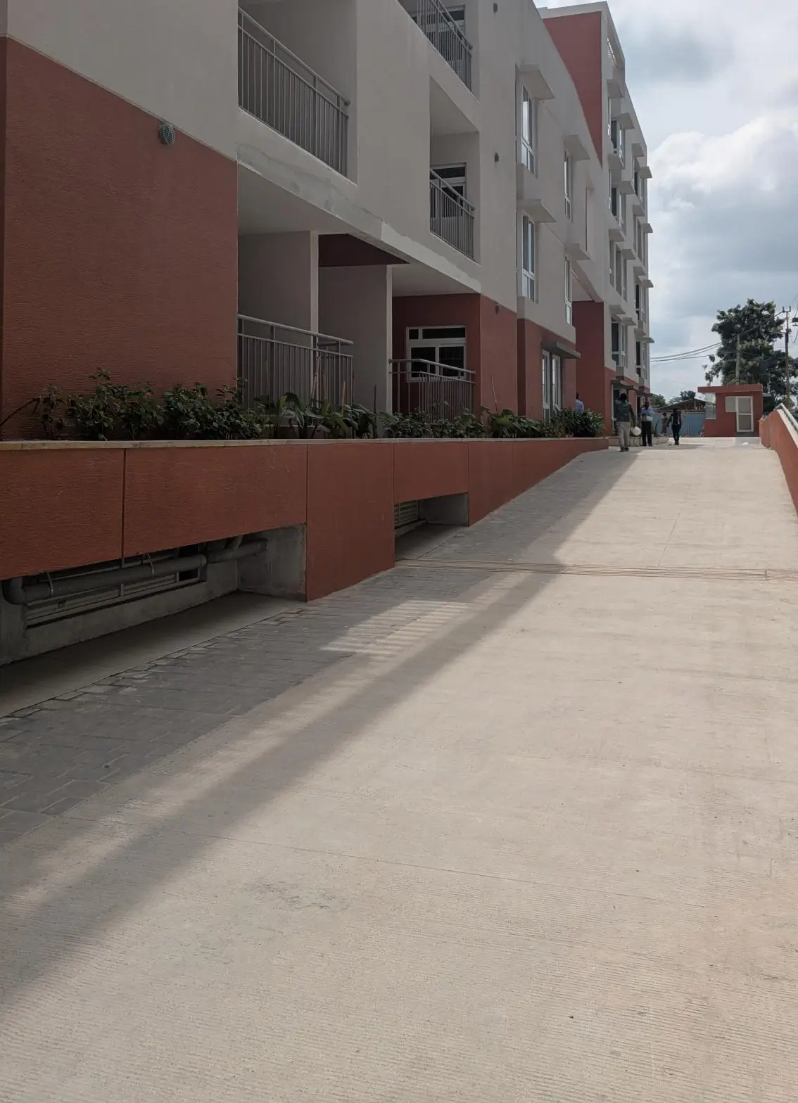 4 Acre – West Driveway, Planting