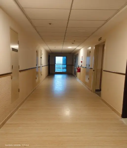 Progress Photographs