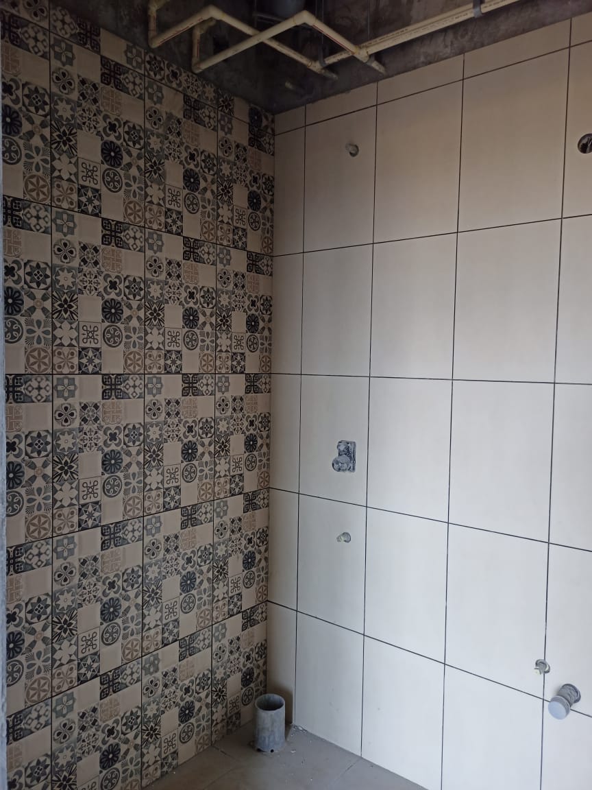 Toilet dado – work in progress. Plumbing works completed