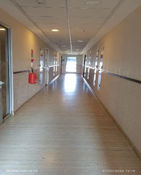 Progress Photographs