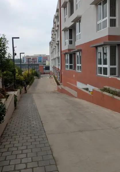 4 Acre – South Driveway, Planting & Electrical Pole