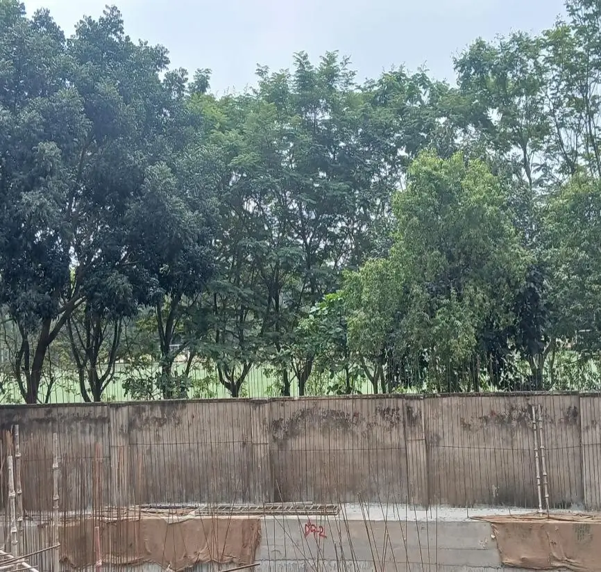 Compound Wall work is in progress.