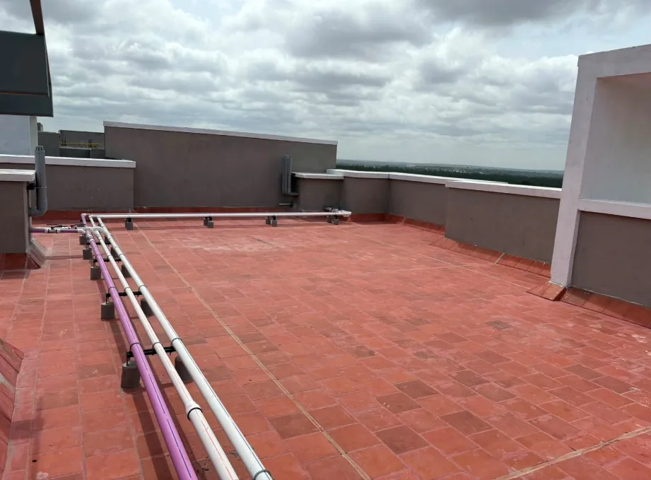 Basement & Terrace