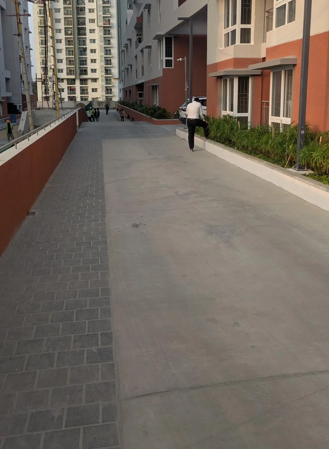 4 Acre – West Driveway, Planting