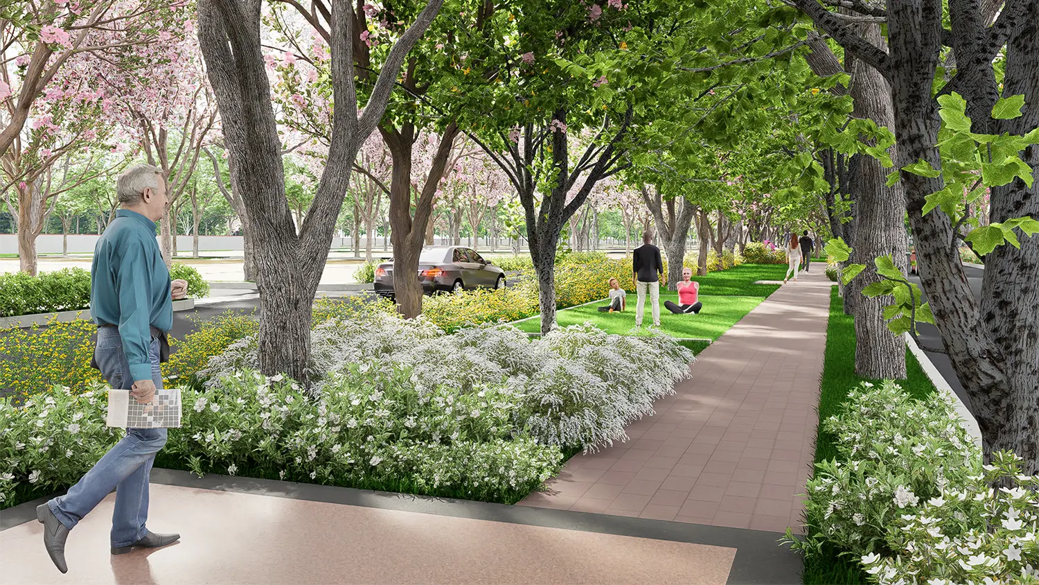 Parking Lawn