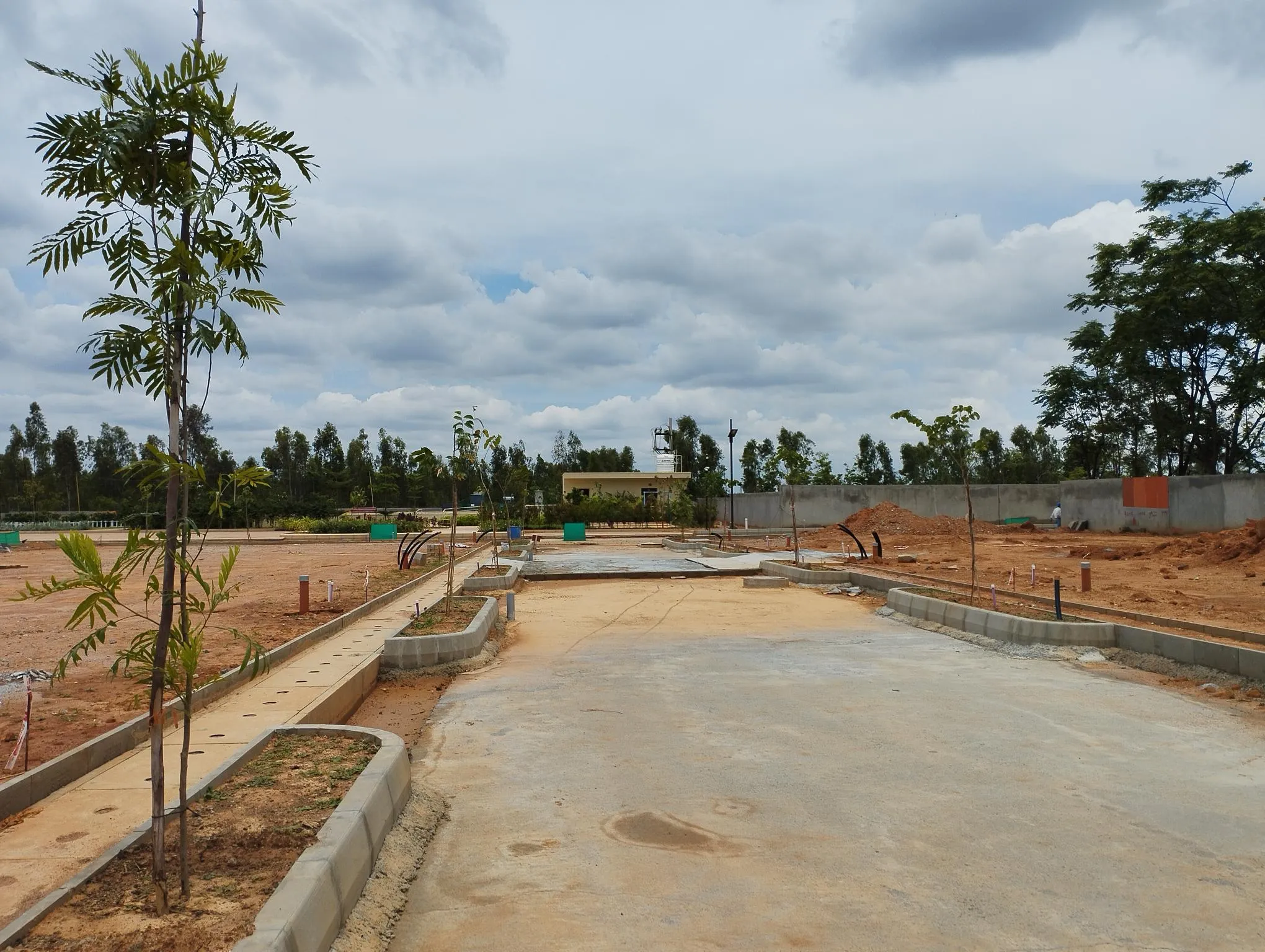 Tree Planting