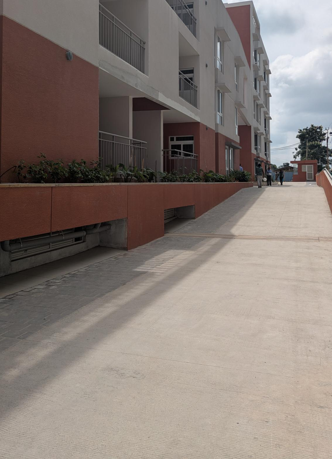 4 Acre – West Driveway, Planting