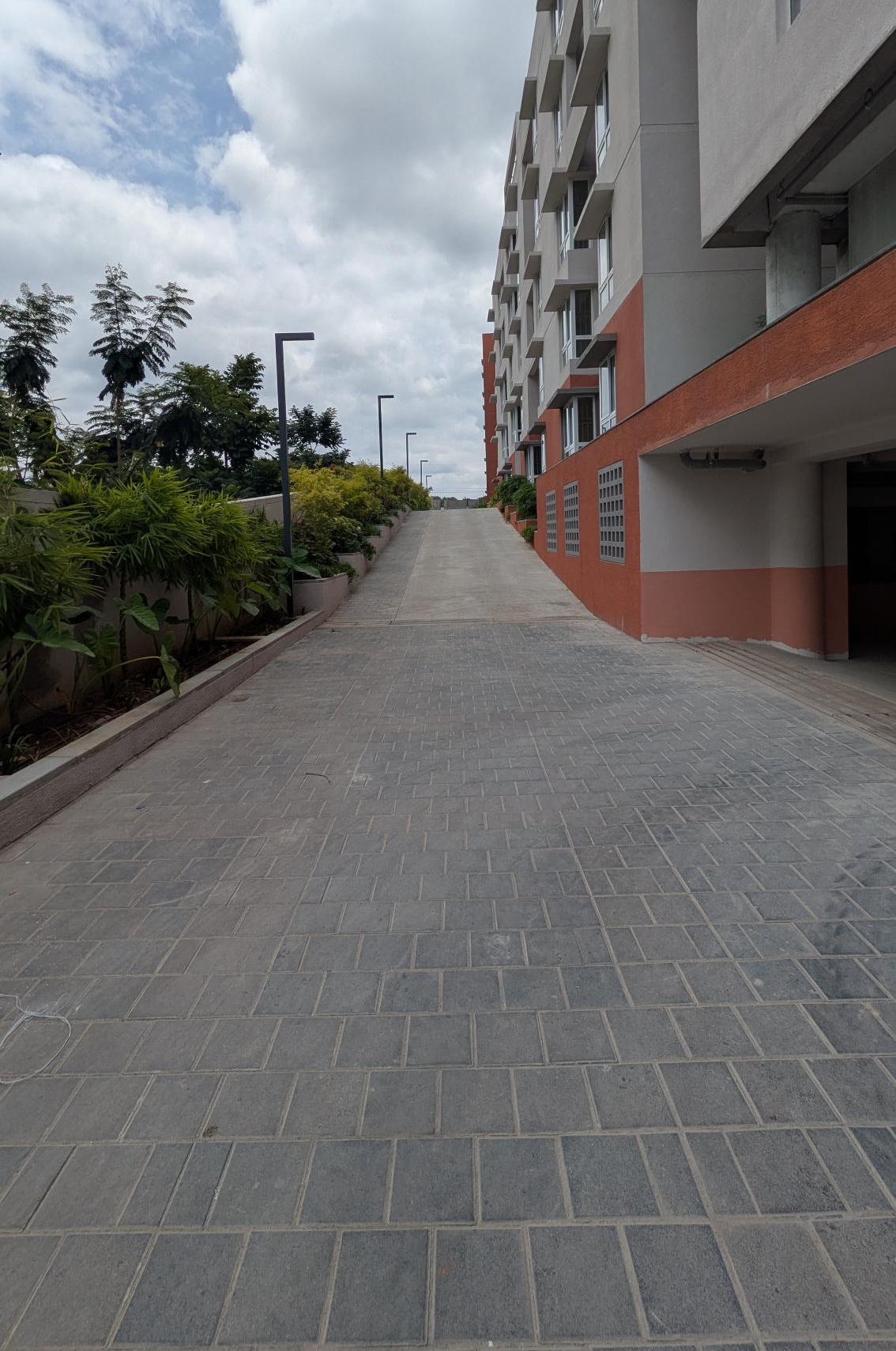 4 Acre – North Driveway, Planting & Electrical Pole