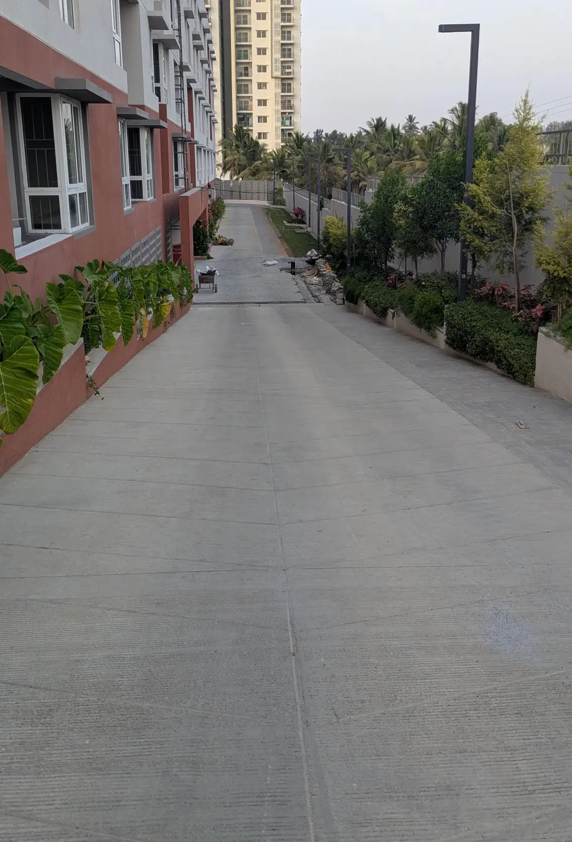 4 Acre – East Driveway, Planting & Electrical Pole