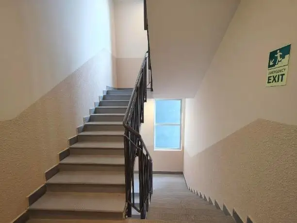 Project Progress Photos