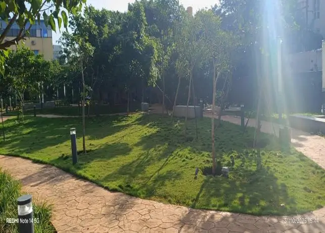 External Development