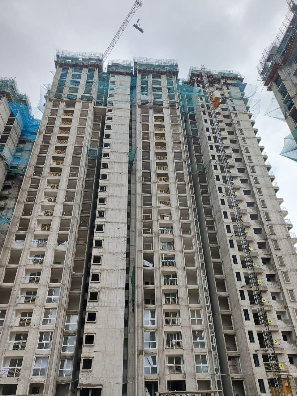 Twenty Sixth Floor shuttering & reinforcement is in progress