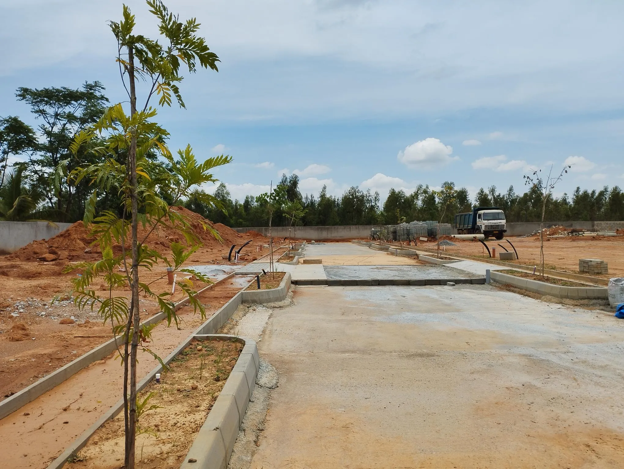 Tree Planting
