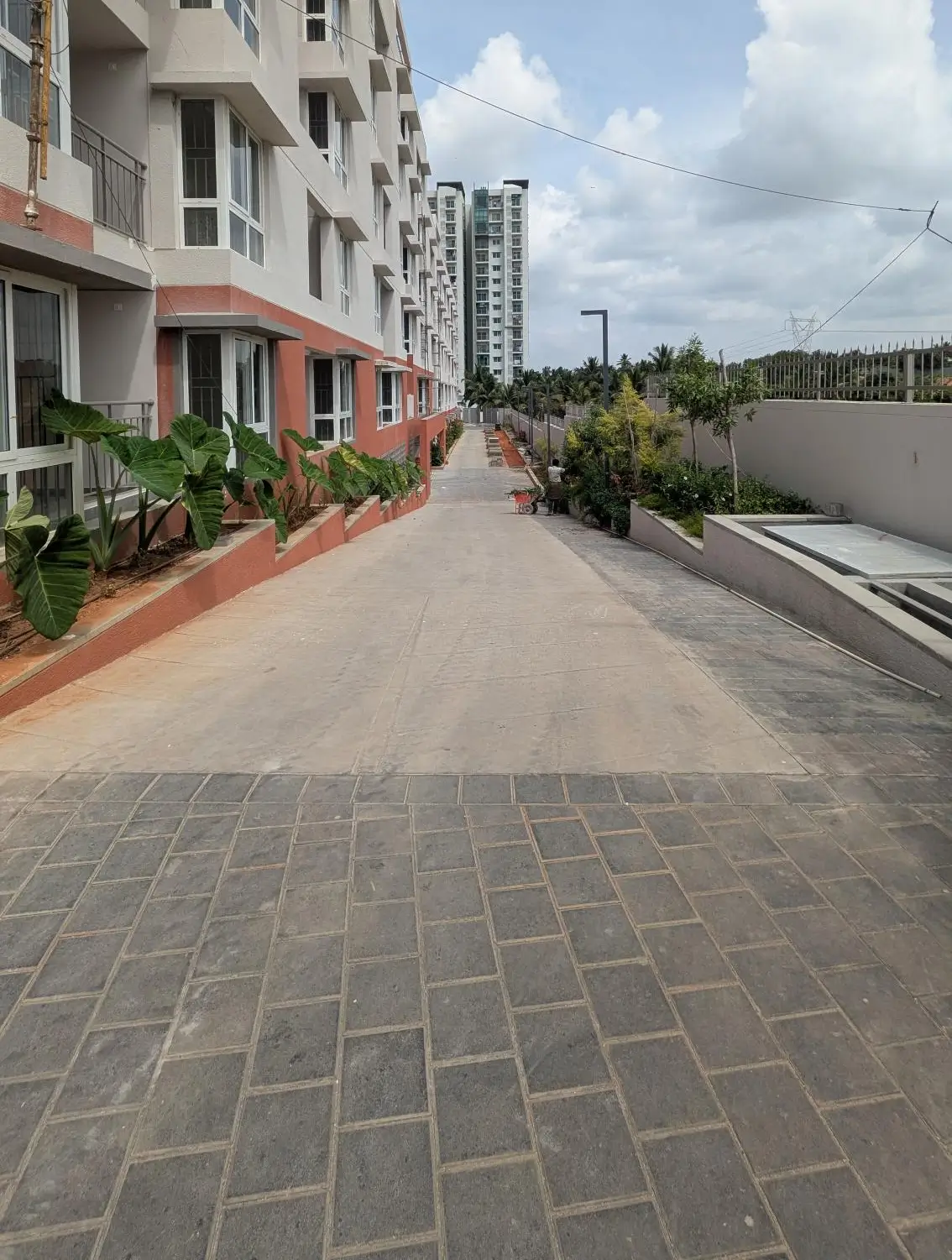 4 Acre – East Driveway, Planting & Electrical Pole