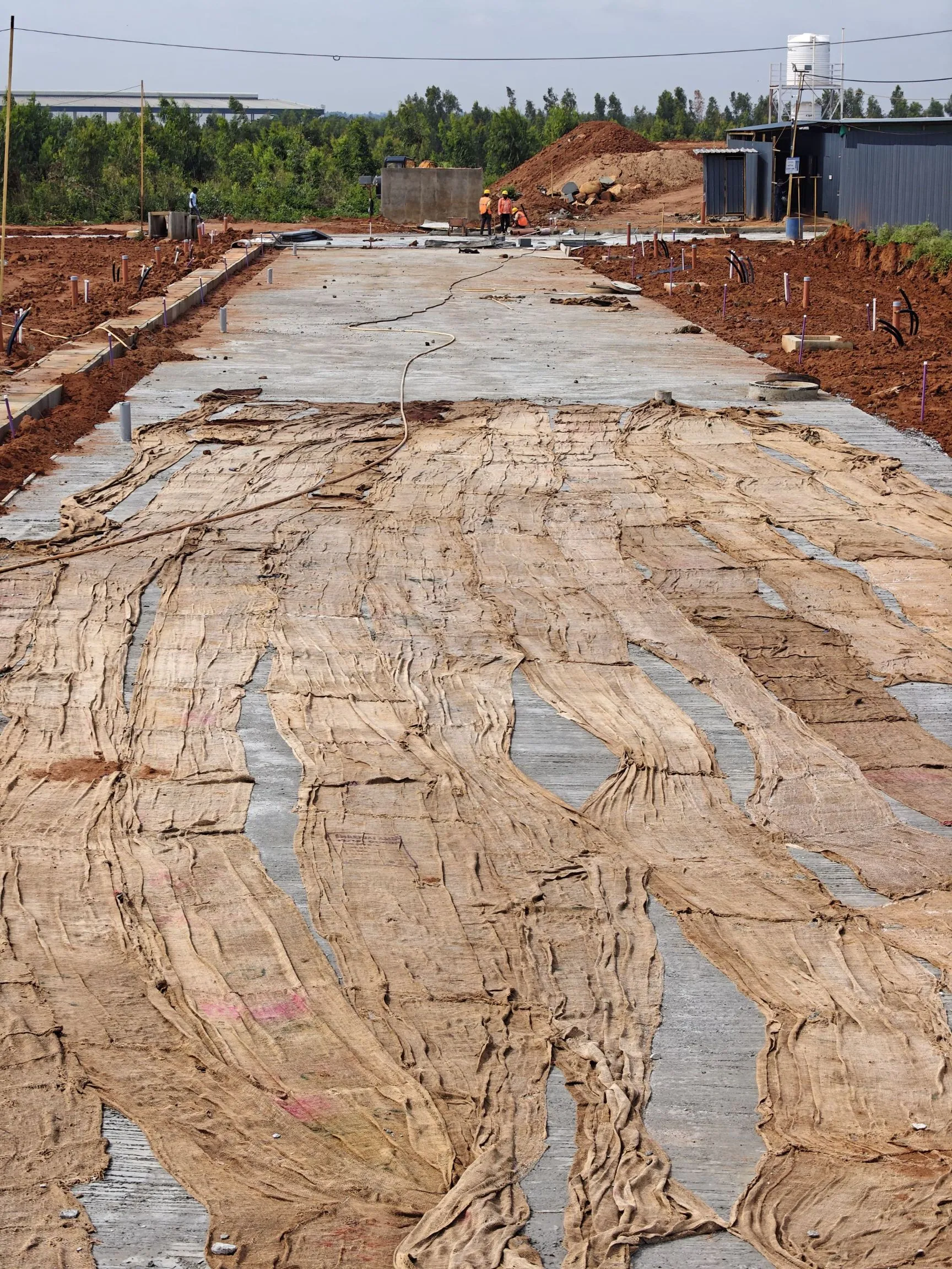 Main Road | Curing work in progress
