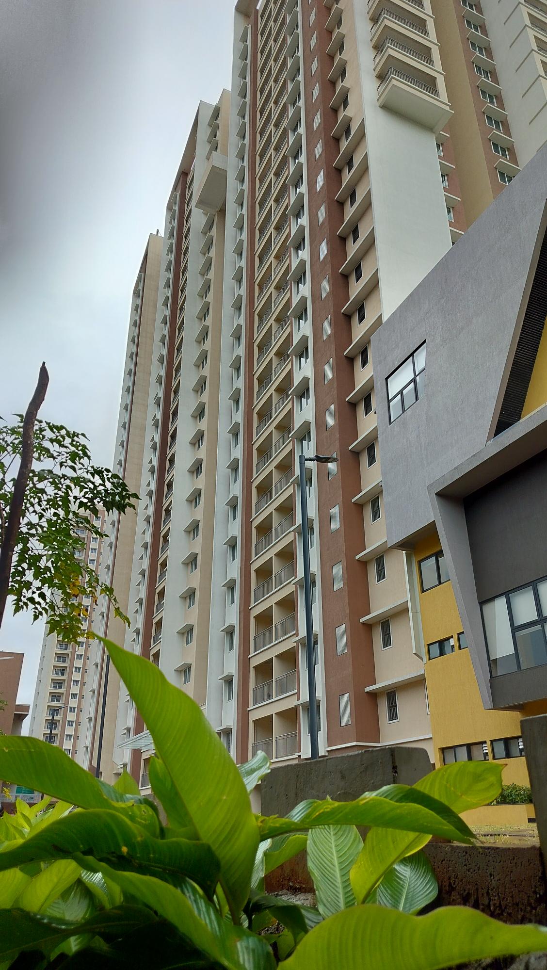 Elevation