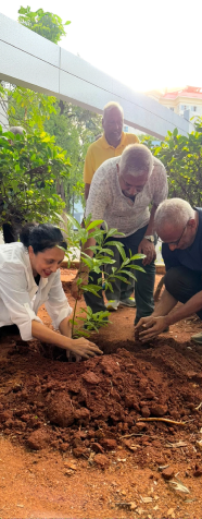 Team planting a tree together