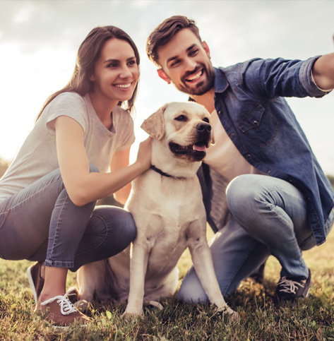 Pet park