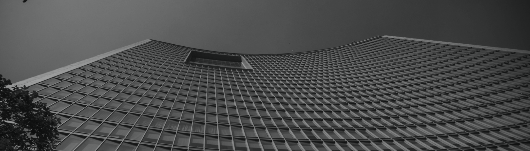 Investors Information